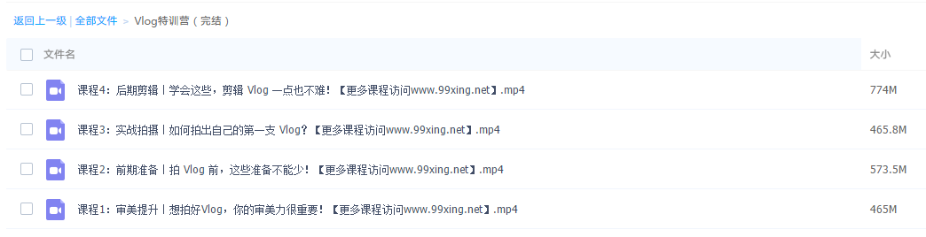 2019抖音Vlog特訓營(yíng)視頻教程插圖1