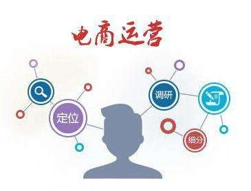 高級運營(yíng)電商系列課程插圖