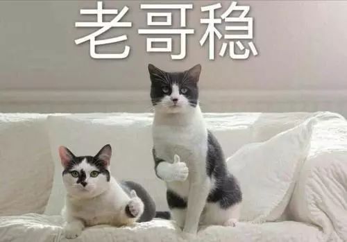 高效學(xué)習神器：千呼萬(wàn)喚的Anki教程！插圖