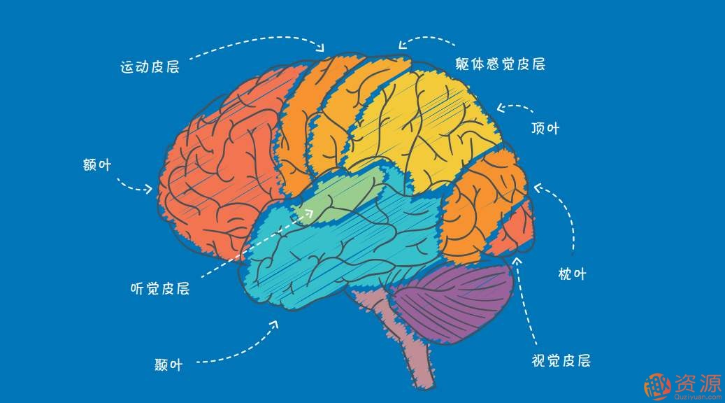 20個(gè)心理學(xué)顛覆實(shí)驗插圖