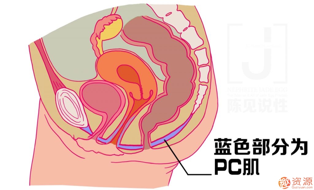 女性朋友怎么練習玉蛋功？玉蛋功鍛煉詳解插圖