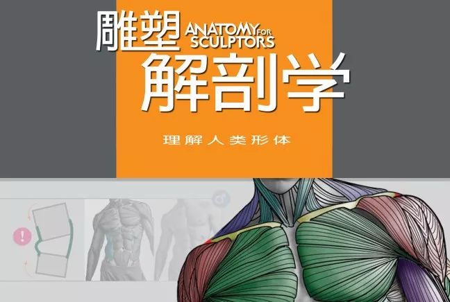 學(xué)習資源 | 人類(lèi)形體雕塑解剖學(xué)漢譯彩印全集插圖 學(xué)習資源 | 人類(lèi)形體雕塑解剖學(xué)漢譯彩印全集插圖