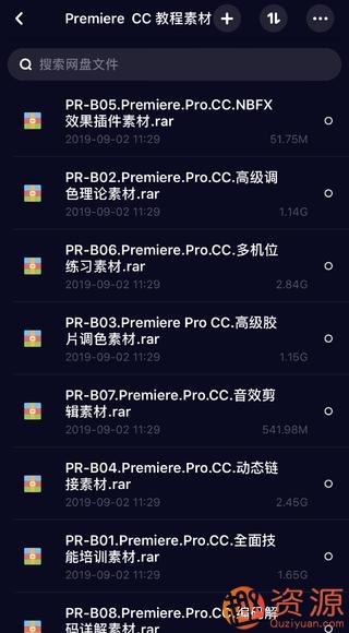 Win系統Mac系統pr和au軟件包 ,豪華大禮包，各類(lèi)視頻素材插圖3