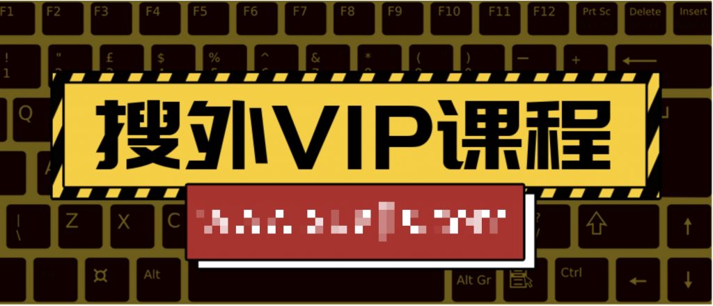搜外VIP課程  百度網(wǎng)盤(pán)插圖