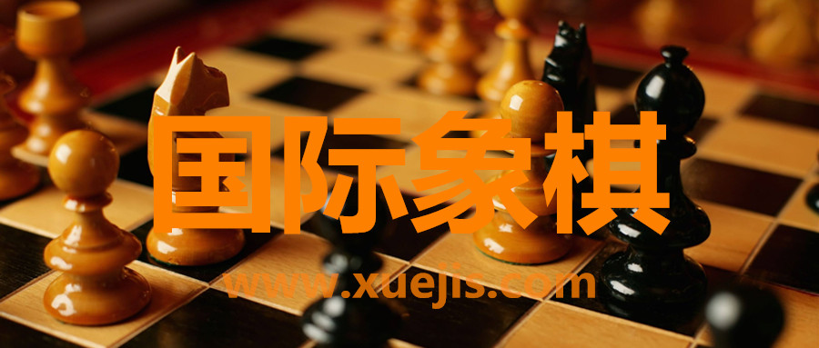 國際象棋視頻教程  百度網(wǎng)盤(pán)插圖
