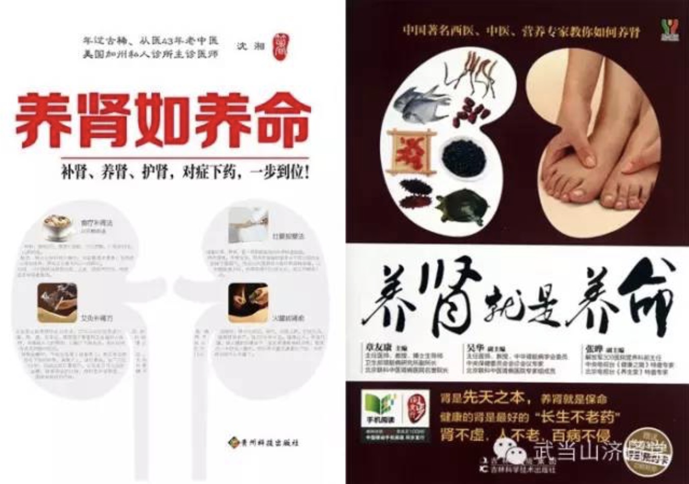 武當山濟腎堂強腎七式 百度網(wǎng)盤(pán)插圖2