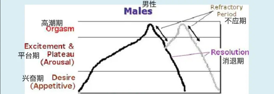令人迷惑的“賢者模式”，抽搐后索然無(wú)味插圖1