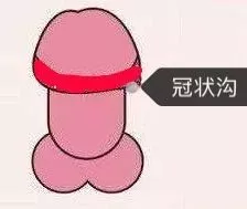 “二指螺旋訓練法”讓你早日擺脫5分鐘運動(dòng)插圖2