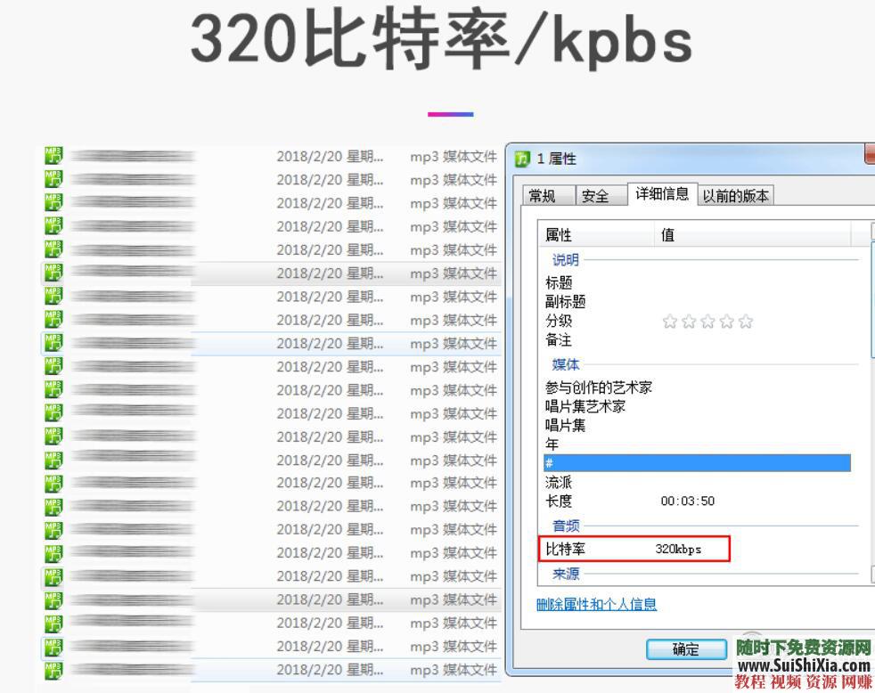 320K無(wú)損車(chē)載流行MP3音樂(lè )舞曲+MP4視頻神曲，共42G幾千首打包分享_趣資料教程資源插圖2