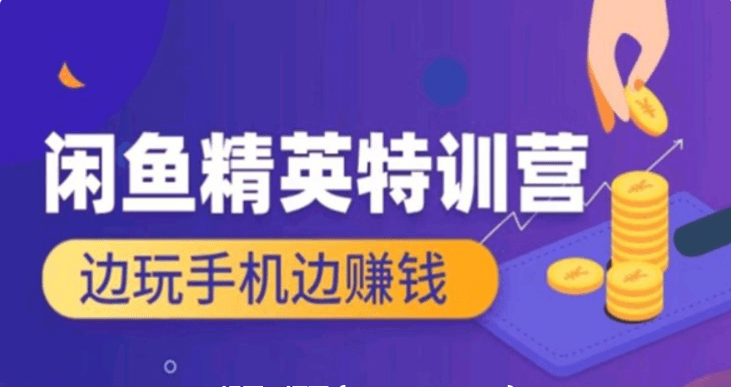翼牛學(xué)堂：閑魚(yú)精英特訓營(yíng)進(jìn)階班，邊玩手機邊賺錢(qián)價(jià)值4999元-百度云網(wǎng)盤(pán)教程視頻插圖