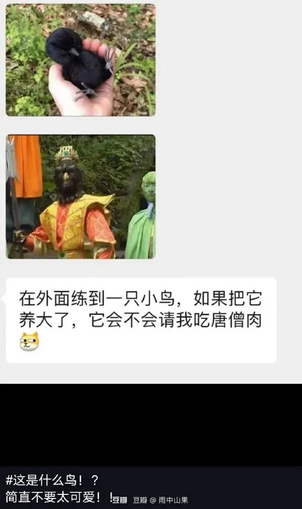 這敞篷跑車(chē)的馬力一定很足！插圖19