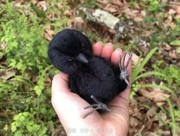 這敞篷跑車(chē)的馬力一定很足！插圖20