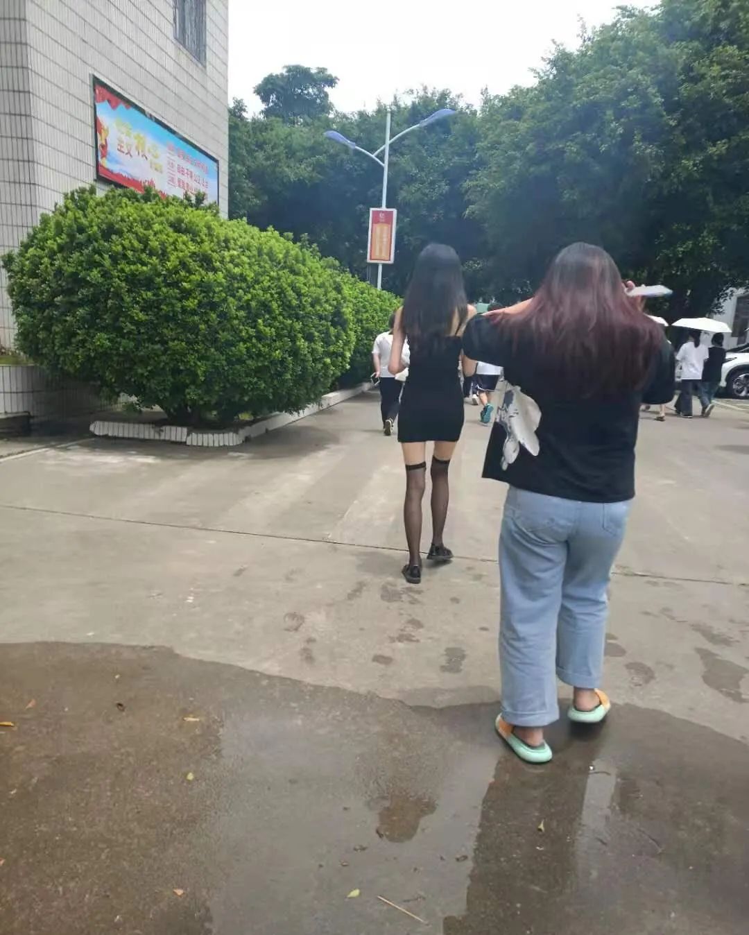 這么多老師有你認識的？插圖7