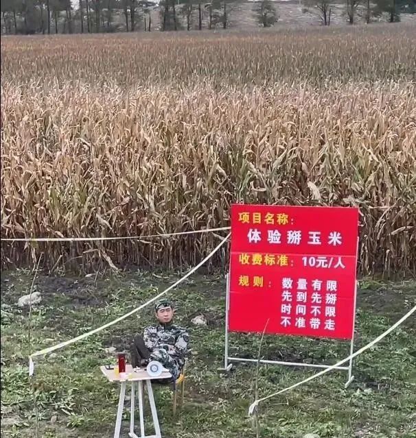 妹子窮的絲襪都破了！插圖14