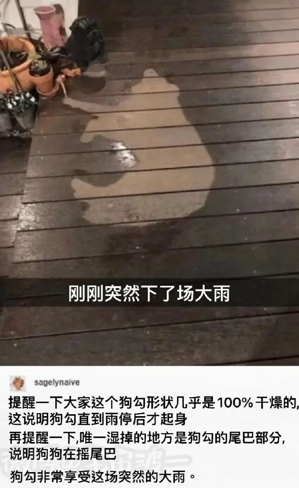 這口罩也太可愛(ài)了點(diǎn)吧！插圖22