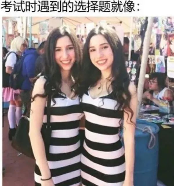 這難道不是傳說(shuō)的微胖??？插圖13