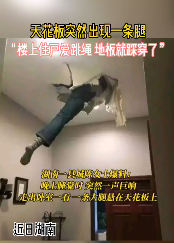 這難道不是傳說(shuō)的微胖??？插圖14