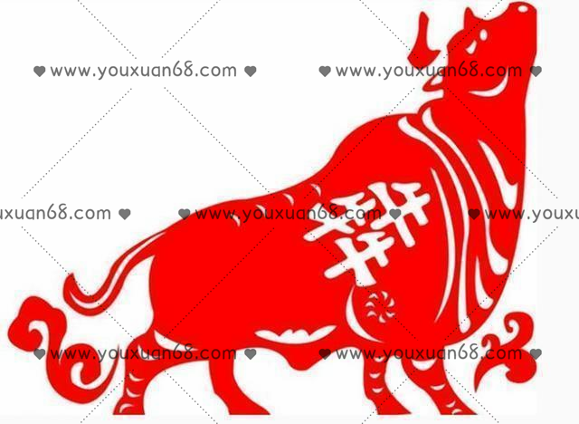山中策市訓練營(yíng) 2021年11月_百度云網(wǎng)盤(pán)視頻教程插圖