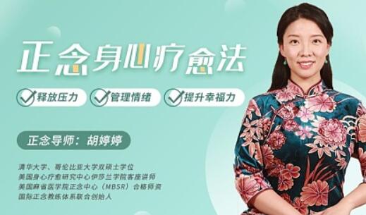 正念身心療愈法：釋放壓力、管理情緒，提升幸福力-百度云分享插圖