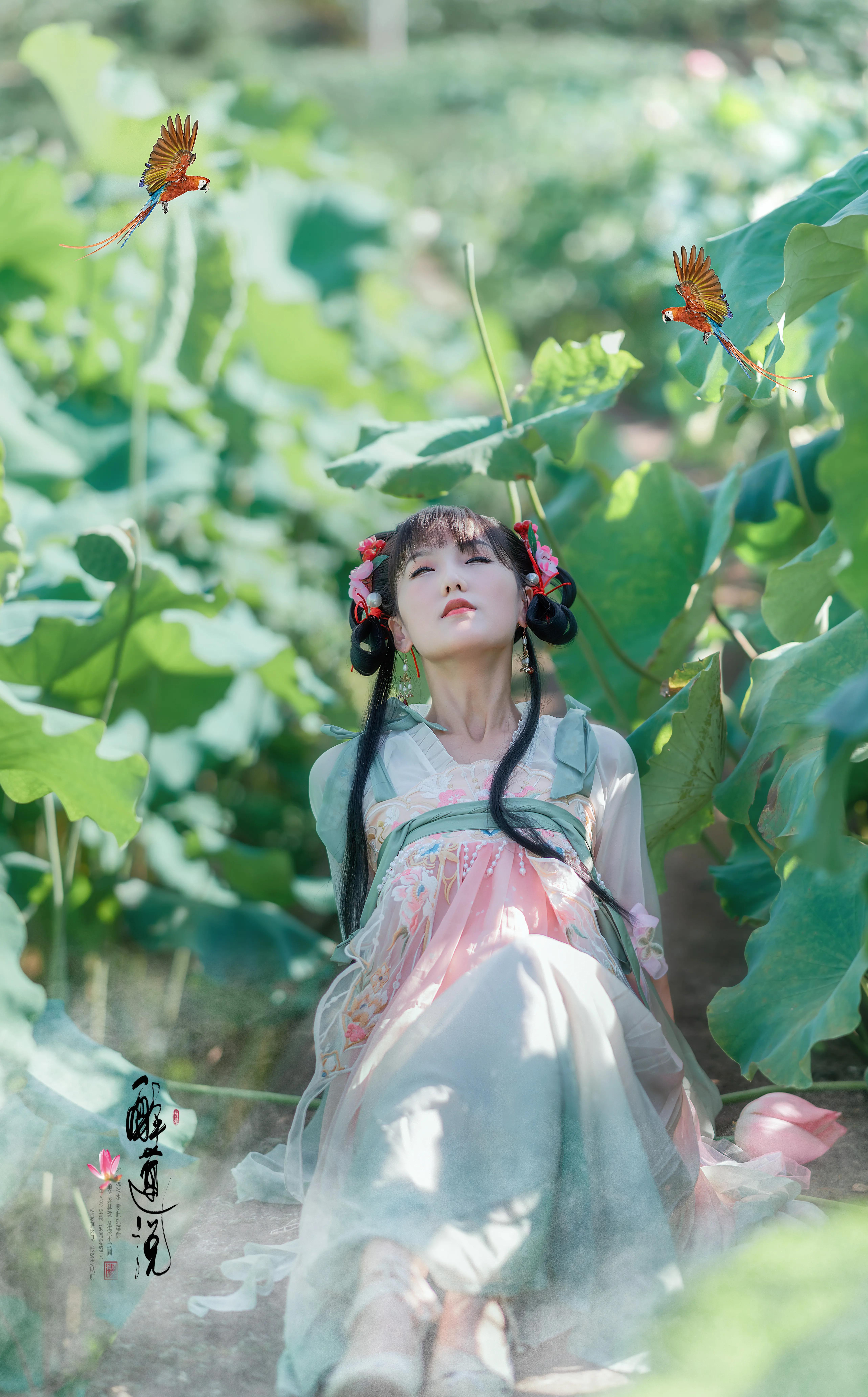 心醉迷，夢(mèng)醉迷。葉鋪池，花開(kāi)池。插圖7