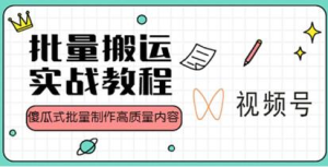 視頻號批量搬運實(shí)戰操作運營(yíng)賺錢(qián)教程，傻瓜式批量制作高質(zhì)量?jì)热荨靖揭曨l教程+PPT】插圖