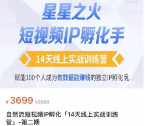 瑤瑤?自然流短視頻IP孵化第二期，成為有數據能賺錢(qián)的獨立IP孵化手百度網(wǎng)盤(pán)插圖