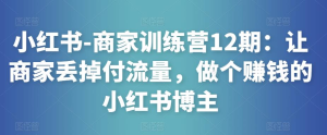 小紅書(shū)-商家訓練營(yíng)12期：讓商家丟掉付流量，做賺錢(qián)小紅書(shū)博主百度網(wǎng)盤(pán)插圖