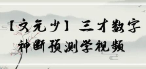 文元少 三才數字神斷預測學(xué)視頻 16集百度網(wǎng)盤(pán)插圖