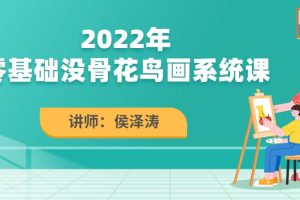 侯澤濤2022零基礎沒(méi)骨花鳥(niǎo)畫(huà)系統課百度網(wǎng)盤(pán)插圖