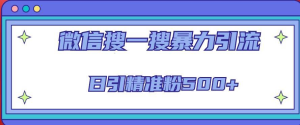 微信搜一搜引流全系列課程，日引精準粉500+（8節課）百度網(wǎng)盤(pán)插圖