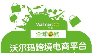 跨境電商沃爾瑪平臺-從0基礎到入門(mén)，沃爾瑪跨境紅利新玩法百度網(wǎng)盤(pán)插圖