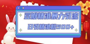 豆瓣精準暴力引流，日引精準粉500+【12課時(shí)】百度網(wǎng)盤(pán)插圖