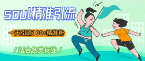 soul精準引流系列課程，一天引流100+精準粉百度網(wǎng)盤(pán)插圖