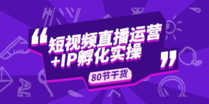 謙四?短視頻直播運營(yíng)及IP孵化實(shí)操，80節干貨實(shí)操分享百度網(wǎng)盤(pán)插圖