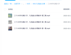 九龍道長(cháng)教你三小時(shí)學(xué)會(huì )看八字百度網(wǎng)盤(pán)插圖