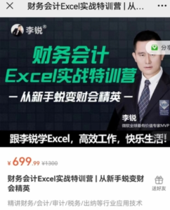 財務(wù)會(huì )計Excel實(shí)戰特訓營(yíng) | 從新手蛻變財會(huì )精英百度網(wǎng)盤(pán)插圖