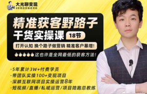 楊光?精準獲客野路子，黑科技快速獲取精準客戶(hù)百度網(wǎng)盤(pán)插圖