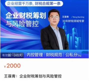 王葆青：企業(yè)財稅籌劃與風(fēng)險管控百度網(wǎng)盤(pán)插圖