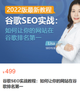谷歌SEO實(shí)戰教程：谷歌排名第一秘籍，內容從入門(mén)到高階百度網(wǎng)盤(pán)插圖