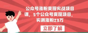 公眾號漲粉變現實(shí)戰項目課，5個(gè)公眾號變現，漲粉23萬(wàn)百度網(wǎng)盤(pán)插圖