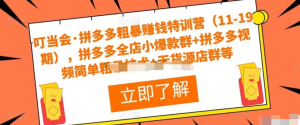 叮當會(huì )?拼多多粗暴賺錢(qián)特訓營(yíng)（11-19期），拼多多爆款群+拼多多視頻技術(shù)+無(wú)貨源店群插圖