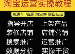 2023淘寶開(kāi)店教程0基礎到高級全套視頻網(wǎng)店電商運營(yíng)培訓教學(xué)課程（2月更新）百度網(wǎng)盤(pán)插圖