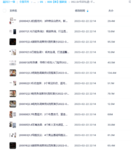 Sir電影私塾-手機美食攝影課百萬(wàn)美食大V親授?全網(wǎng)最全美食拍攝攻略百度網(wǎng)盤(pán)插圖