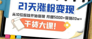 21天精準漲粉變現干貨大課：變現月增5000+變現20w+百度網(wǎng)盤(pán)插圖