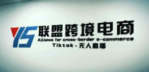 YS聯(lián)盟?Tiktok無(wú)人直播，不出鏡不剪輯不拍攝不發(fā)貨無(wú)售后的跨境短視頻插圖
