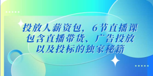 三里屯?投放人薪資包，6節直播課，直播帶貨、廣告投放獨家秘籍百度網(wǎng)盤(pán)插圖