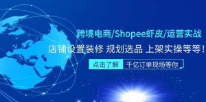 跨境電商Shopee蝦皮運營(yíng)實(shí)操直播課（10節系統課）百度網(wǎng)盤(pán)插圖