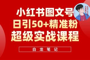 小紅書(shū)圖文號日引50+精準流量，新手小白實(shí)戰的小紅書(shū)引流課百度網(wǎng)盤(pán)插圖