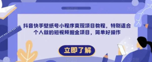 抖音快手壁紙號小程序變現項目教程，適合個(gè)人短視頻掘金項目百度網(wǎng)盤(pán)插圖