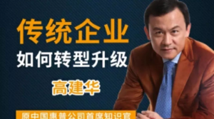 高建華傳統企業(yè)如何轉型升級 9節百度網(wǎng)盤(pán)插圖